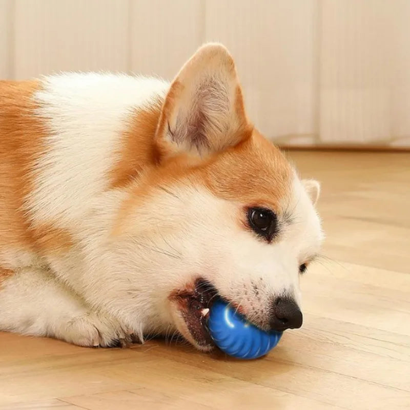 Intelligenter Spielball für Hunde