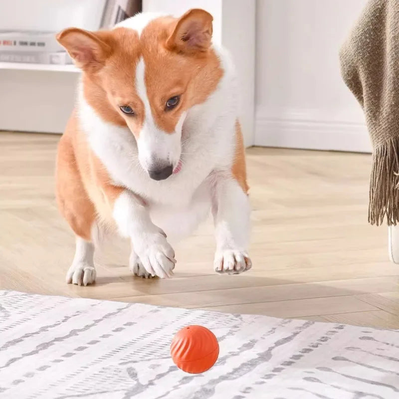 Intelligenter Spielball für Hunde