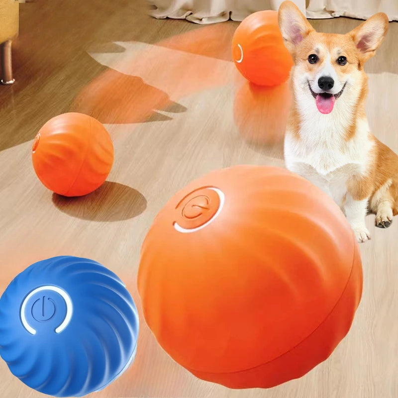 Intelligenter Spielball für Hunde