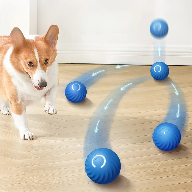 Intelligenter Spielball für Hunde