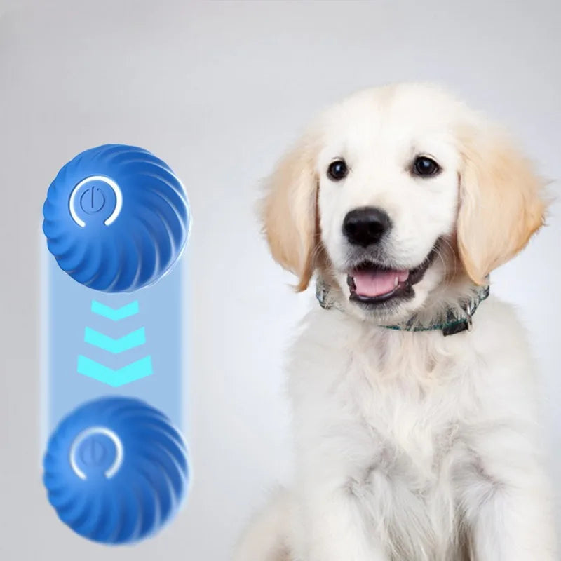 Intelligenter Spielball für Hunde
